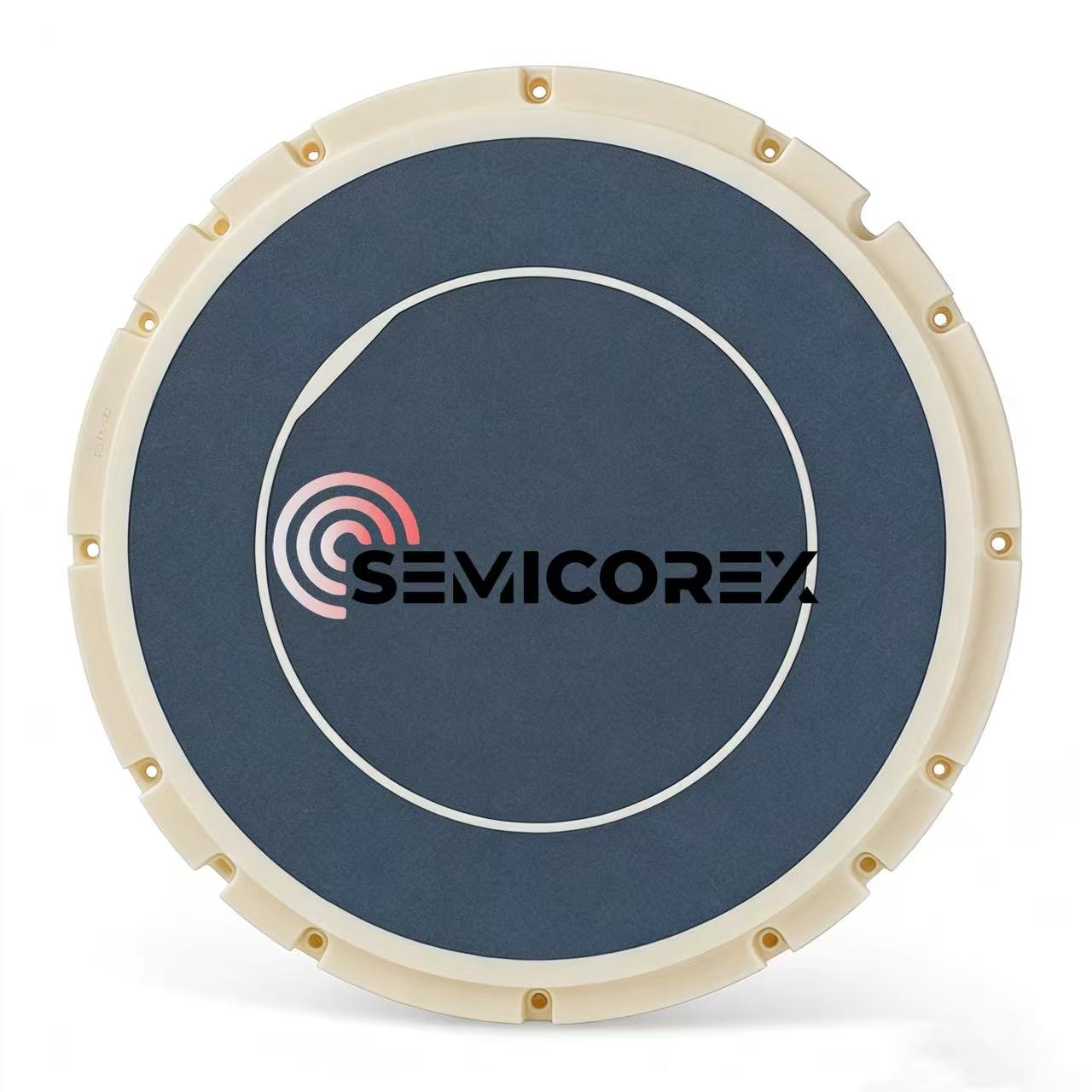 Alumina Keramik Vakum Chucks