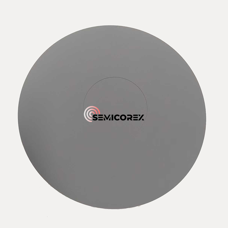 SiC Coating Pancake Susceptor