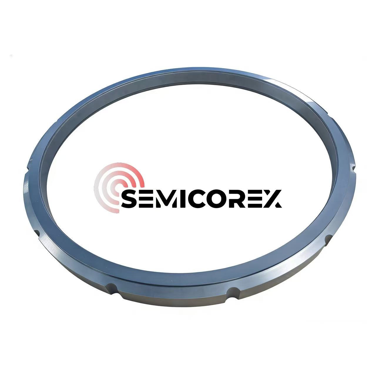 Silicon Carbide DGS Rings