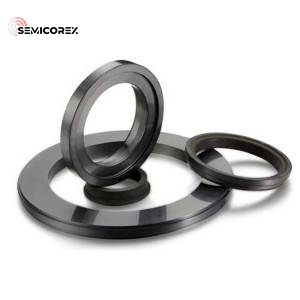 Silicon Carbide Mechanical Seal