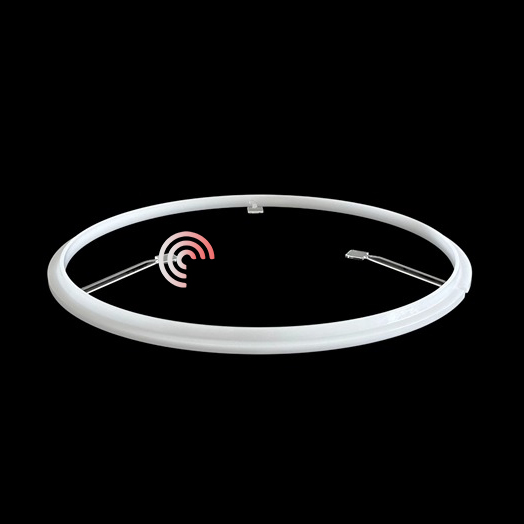 Dhukungan Ring